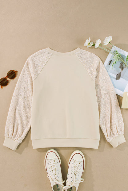 Parchment Eyelet Knit Patchwork Raglan Sleeve Pullover Top