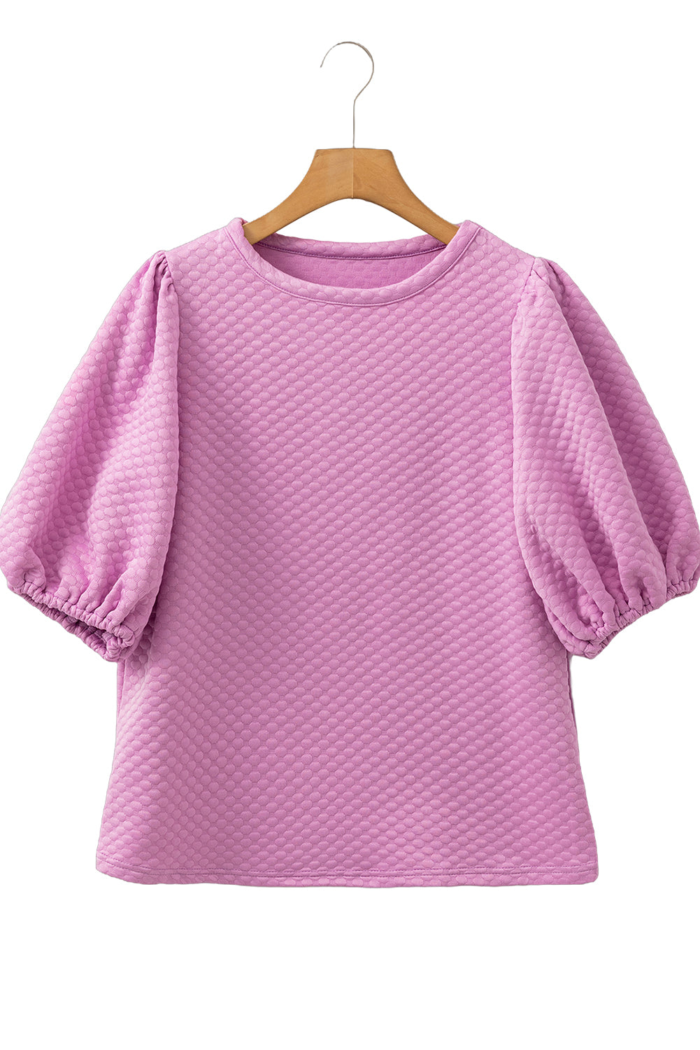 Phalaenopsis Solid Textured O Neck Puff Sleeve Blouse